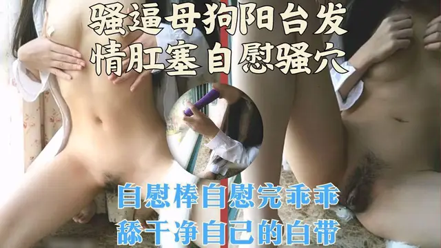 騷逼母狗發情肛塞自慰騷穴
