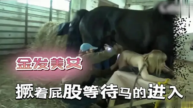 【人與獸】金髮美女撅屁股等馬進入