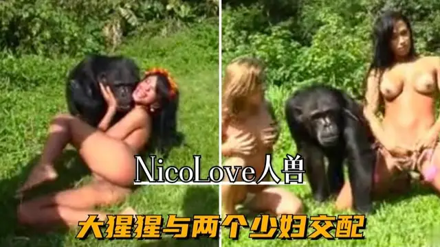 【最新人獸】大猩猩與兩個少婦交配