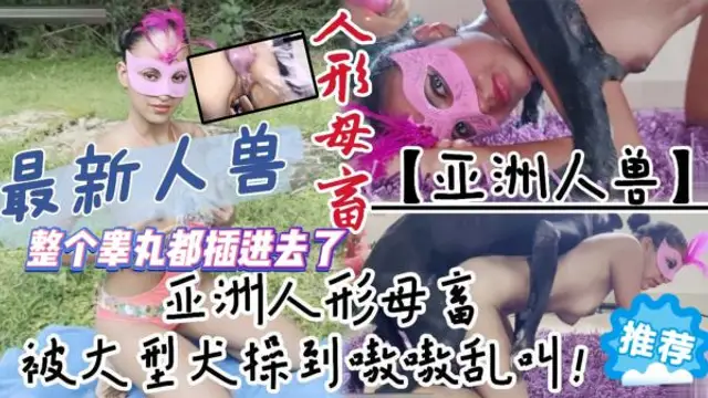 【人獸】亞洲人形母畜被大型犬騎在身下操到亂叫！整個辜丸都插進去了最後直接潮噴了