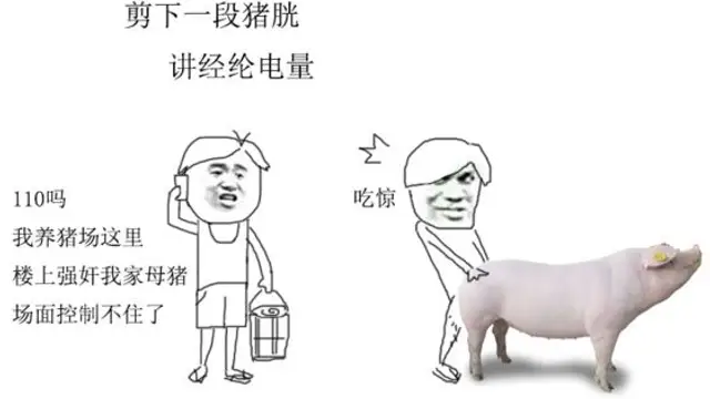 【全網獨家】你日過豬嗎？男子艹豬影片流出-變態