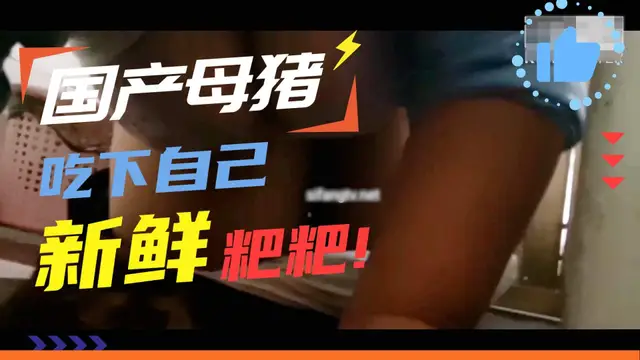 國產母豬，吃下自己新鮮的粑粑！！